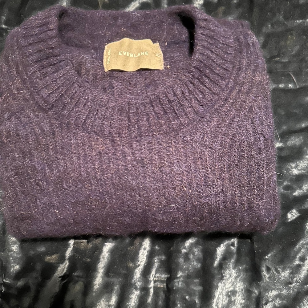 Everlane Wool Crew Sweater